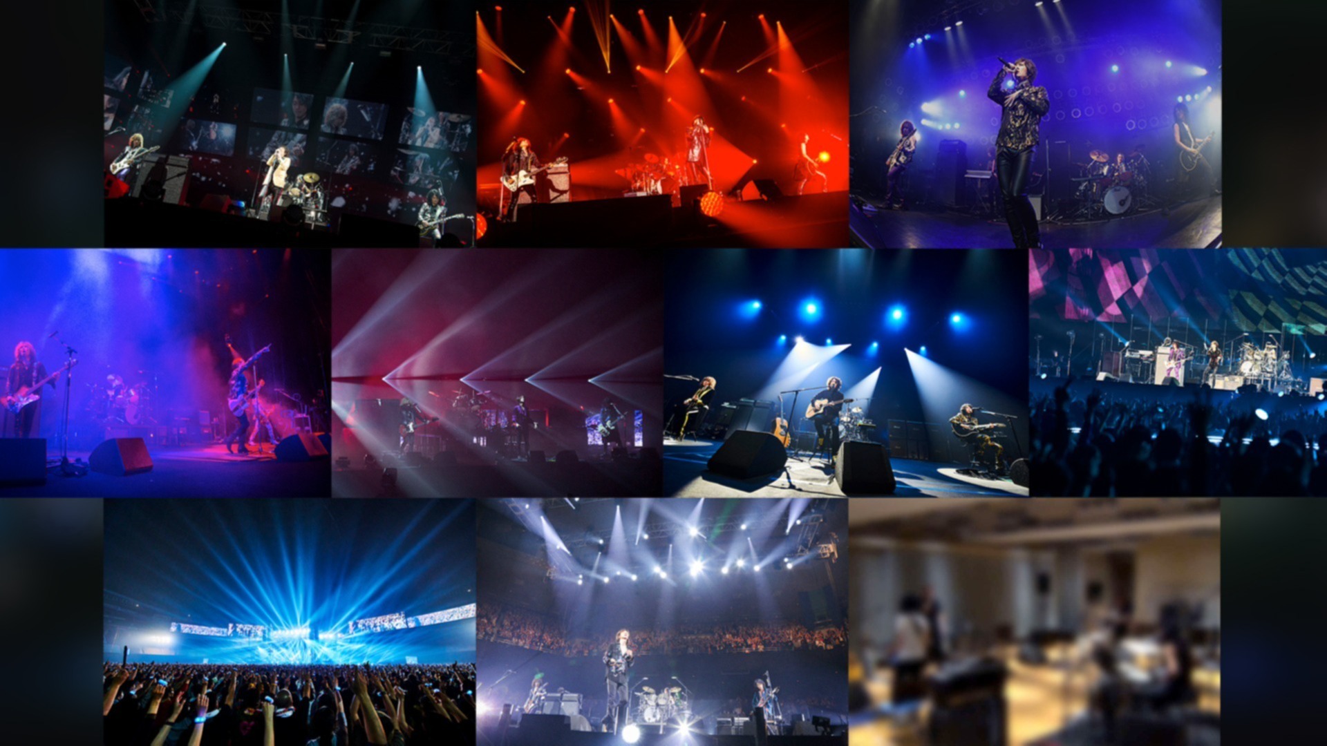 Selection Of The Yellow Monkey